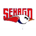 logo team Senago