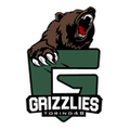 logo team Grizzlies Torino 48